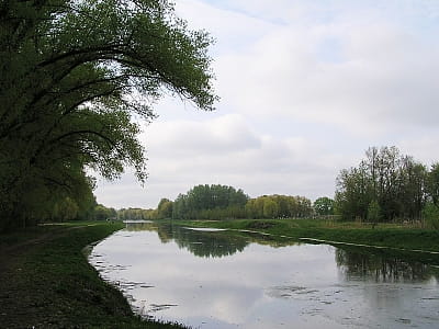 Дізнайтеся про річку Остер – притоку Десни в Україні: витоки, течія, природа, історія, розваги, мальовничі береги та як дістатися до кращих локацій.
