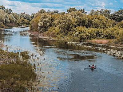 Річка Сейм в Україні: опис течії, природи, історії, відпочинку та екологічного стану на півночі Чернігівщини і Сумщини.