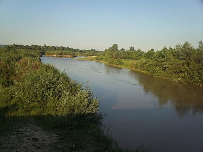 Річка Серет у Чернівецькій області — дунайська притока з мальовничими берегами, багатою природою, історією Буковини та місцями для відпочинку.