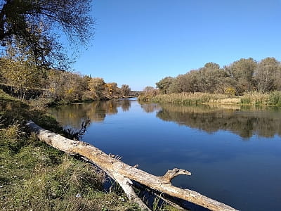 Дізнайтесь про Сіверський Донець: витоки, течію, флору-фауну, екологію, риболовлю та відпочинок — мандрівка берегами однієї з найважливіших річок Сходу.