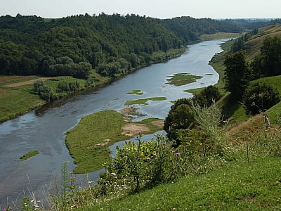 Річка Случ — мальовнича притока Горині з порогами, скелями й історичними містами. Опис природи, відпочинку та цікавих місць.
