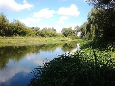 Річка Стир — 483 км природи, вод, історії та відпочинку. Дізнайтесь про її витоки, течію, флору-фауна, екологію та живописні куточки.