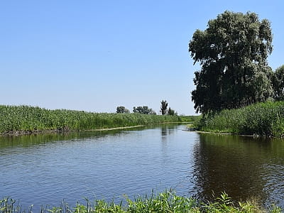 Річка Сула в Україні: опис, витоки й гирло, природа, історія, відпочинок, риболовля та мальовничі локації вздовж берегів.