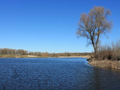 Річка Удай в Україні: витоки, течія, природа, історія, риболовля, цікаві місця та найкращі локації для відпочинку й фото.
