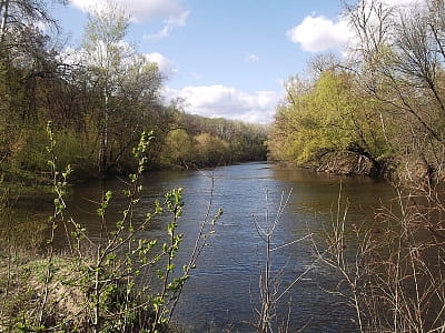 Річка Ворскла в Україні: витоки, течія, історія, природа, риболовля, пляжі, цікаві місця та маршрути вздовж мальовничих берегів.