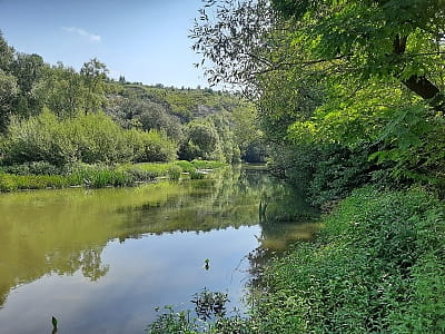 Річка Збруч — мальовнича водна артерія Поділля з каньйонами, історичними пам’ятками, чистою водою та можливостями для відпочинку.