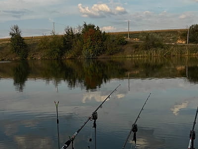 риболовля в заміському комплексі Balka Eco Club у мальовничому куточку Полтавської області, серед природи, тиші та водної гладі