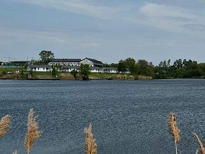 Однією з ключових переваг Balka Eco Club є розташування на березі озера, що формує атмосферу спокою та приватності.