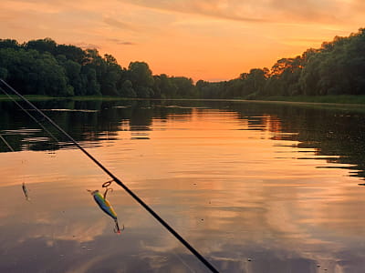риболовля в заміському комплексі «Хрещатик» у Черкаській області на березі річки Рось у місці її впадіння в Дніпро