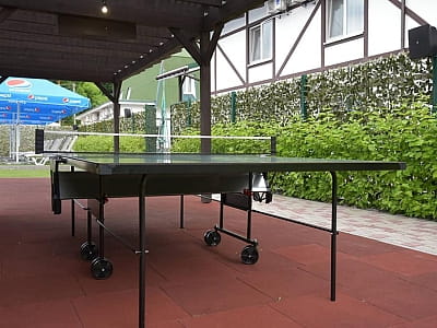 настільний теніс в заміському комплексі «Лубенська Слобода» у мальовничому куточку Полтавщини, лише за два кілометри від історичного міста Лубни