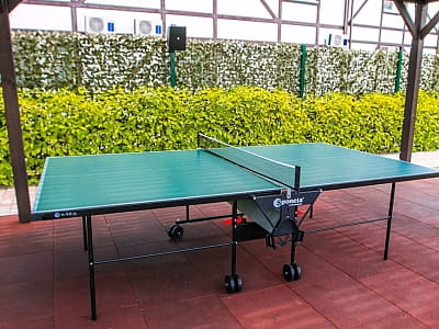 настільний теніс в заміському комплексі «Лубенська Слобода» у мальовничому куточку Полтавщини, лише за два кілометри від історичного міста Лубни