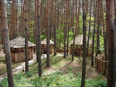 альтанки в сосновому лісі в заміському комплексі «Перший Кордон» в селі Медведівка Черкаської області