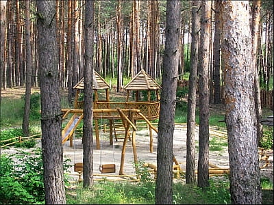 дитячий майданчик в сосновому лісі в заміському комплексі «Перший Кордон» в селі Медведівка Черкаської області