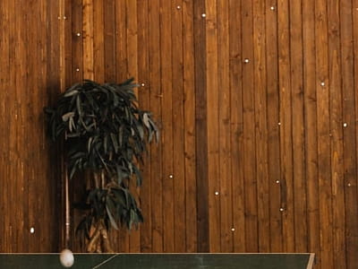 настільний теніс в комплексі відпочинку «Пляж» в місті Тернопіль 