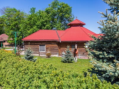 Заміський комплекс «Рожевий слон» — це вдале поєднання природи, зручного розташування та різноманітних можливостей для відпочинку. 