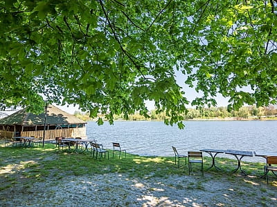 Заміський комплекс «Рожевий слон» — це зелена зона відпочинку неподалік від Кропивницького, розташована на березі мальовничої річки. 