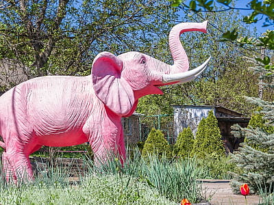 Заміський комплекс «Рожевий слон» — відпочинок біля річки поруч з Кропивницьким