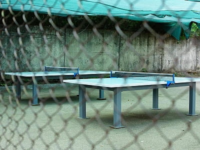 настільний теніс в заміському комплексі «Рожевий слон» в Кіровоградській області