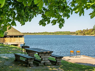 Заміський комплекс «Рожевий слон» — це зелена зона відпочинку неподалік від Кропивницького, розташована на березі мальовничої річки. 