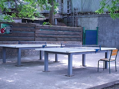 настільний теніс в заміському комплексі «Рожевий слон» в Кіровоградській області