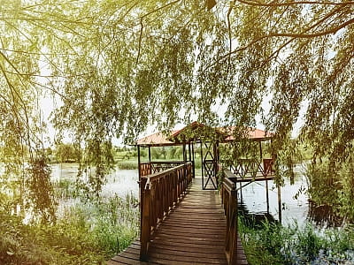 мальовниче озеро в заміському комплексі "Смерекова Хата" в селі Кімната Тернопільської області