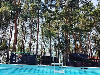 літній відкритий басейн в заміському комплексі "Смерекова Хата" в селі Кімната Тернопільської області