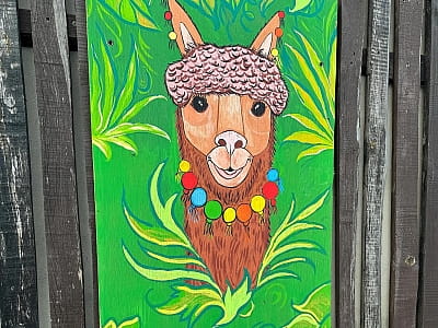 Alpaca Home — контактна ферма біля Рівного з альпаками, кізочками та кроликами. Прогулянки природою, фото й відпочинок для всієї сім’ї.