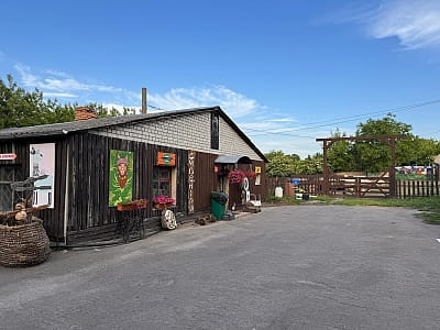 Alpaca Home — контактна ферма біля Рівного з альпаками, кізочками та кроликами. Прогулянки природою, фото й відпочинок для всієї сім’ї.