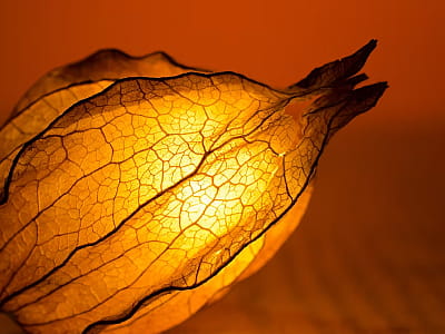 Музей Ідей у Львові — жива галерея та мистецька лабораторія, де ідеї не зберігаються мовчки за вітринами, а народжуються, розвиваються й перетворюються на події, виставки та проєкти