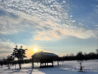 Оленячий парк «На рогах» під Києвом — це не просто туристична локація, а справжній простір відновлення природи й надії.