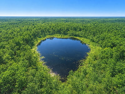 Озеро Навраття (Закраньє) — найменше серцеподібне озеро Шацьких озер біля Шацька. Дика природа, болота й унікальні ландшафти Волині.
