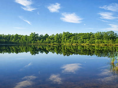 Озеро Ритець біля Шацька — невелика карстова водойма з червонуватою водою, лісовими берегами та можливістю спокійного відпочинку і риболовлі.