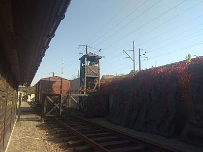 Меморіальний музей тоталітарних режимів «Територія Терору» у Львові — це важливий простір пам’яті, що розповідає про трагічні сторінки історії середини ХХ століття. 