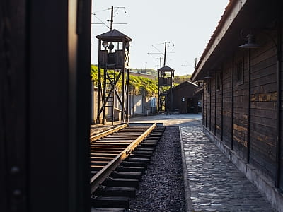 «Територія Терору» досліджує, як нацистський та радянський режими змінювали міський простір і людські долі, перетворюючи життя на боротьбу за виживання. 