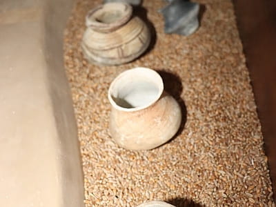 нікальні пам’ятки історії, археології, природи та мистецтва, що відображають розвиток краю від прадавніх часів до сучасності у центральноукраїнському обласному краєзнавчому музеї у Кропивницькому