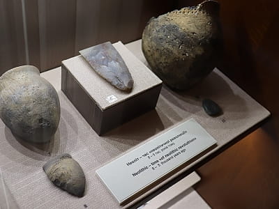 нікальні пам’ятки історії, археології, природи та мистецтва, що відображають розвиток краю від прадавніх часів до сучасності у центральноукраїнському обласному краєзнавчому музеї у Кропивницькому