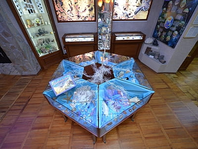 Колекції Центральноукраїнського обласного краєзнавчого музею вражають різноманіттям і масштабом — тут зібрано унікальні пам’ятки історії, археології, природи та мистецтва, що відображають розвиток краю від прадавніх часів до сучасності. 