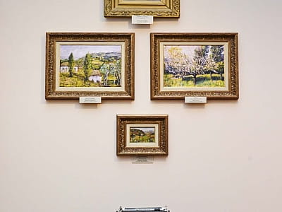 нікальні пам’ятки історії, археології, природи та мистецтва, що відображають розвиток краю від прадавніх часів до сучасності у центральноукраїнському обласному краєзнавчому музеї у Кропивницькому