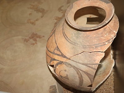 нікальні пам’ятки історії, археології, природи та мистецтва, що відображають розвиток краю від прадавніх часів до сучасності у центральноукраїнському обласному краєзнавчому музеї у Кропивницькому