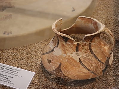 нікальні пам’ятки історії, археології, природи та мистецтва, що відображають розвиток краю від прадавніх часів до сучасності у центральноукраїнському обласному краєзнавчому музеї у Кропивницькому