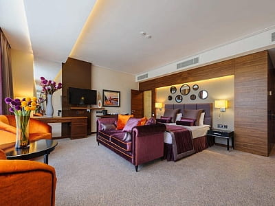 готельні номери в заміському комплексі ARDEN PALACE Medical Resort & SPA в селищі Сатанів Хмельницької області