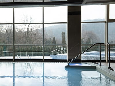 СПА-центр в заміському комплексі ARDEN PALACE Medical Resort & SPA в селищі Сатанів Хмельницької області