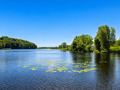 Річка Ірпінь — одна з важливих річок Київщини. Її історія, природа, риболовля, цікаві місця та найкращі локації для відпочинку й фотографій.