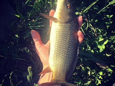 Спортивно – аматорська риболовля на ставку в заміському комплексі «Rancho»в селі Лісові Гринівці біля міста Хмельницький