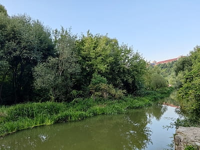 Річка Смотрич — це не лише важлива водна артерія Поділля, а й унікальний природно-історичний комплекс.