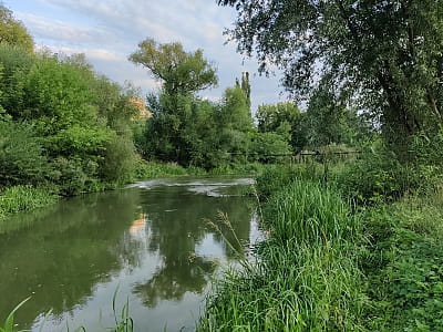 Річка Смотрич — це не лише важлива водна артерія Поділля, а й унікальний природно-історичний комплекс.