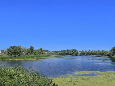 Річка Уборть на Житомирському Поліссі: витоки, природа, рибалка, історія та найкращі місця для відпочинку й подорожей уздовж мальовничої поліської річки.