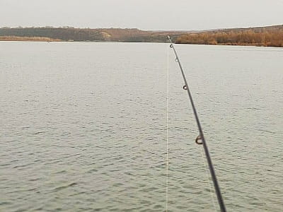 риболовля в заміському комплексі «Воллен» на березі Дністра