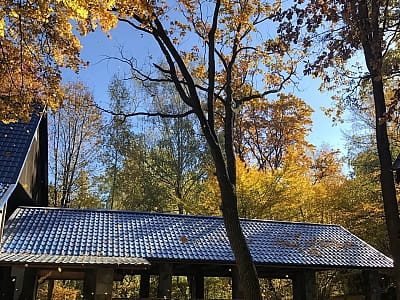 Заміський комплекс Ягода-Малина: відпочинок у лісі, басейн, ресторан, баня, комфортні номери та будиночки. Ідеальне місце для релаксу і подій.