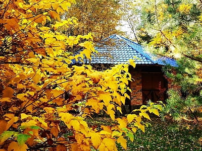 альтанки в заміському комплексі «Ягода-Малина» в селі Головчинці Хмельницької області